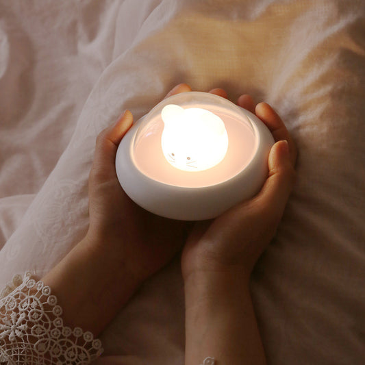 Led Night Bedside Light